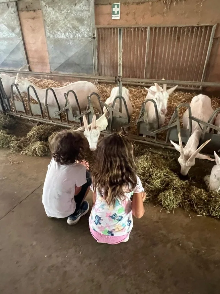 Photo 2025 06 28 15 14 52