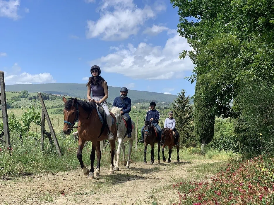 Horseback riding tour